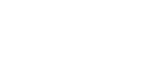 Aerodust Logo baseline blanc